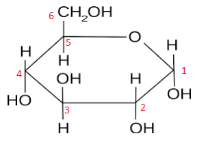 alpha-glucose